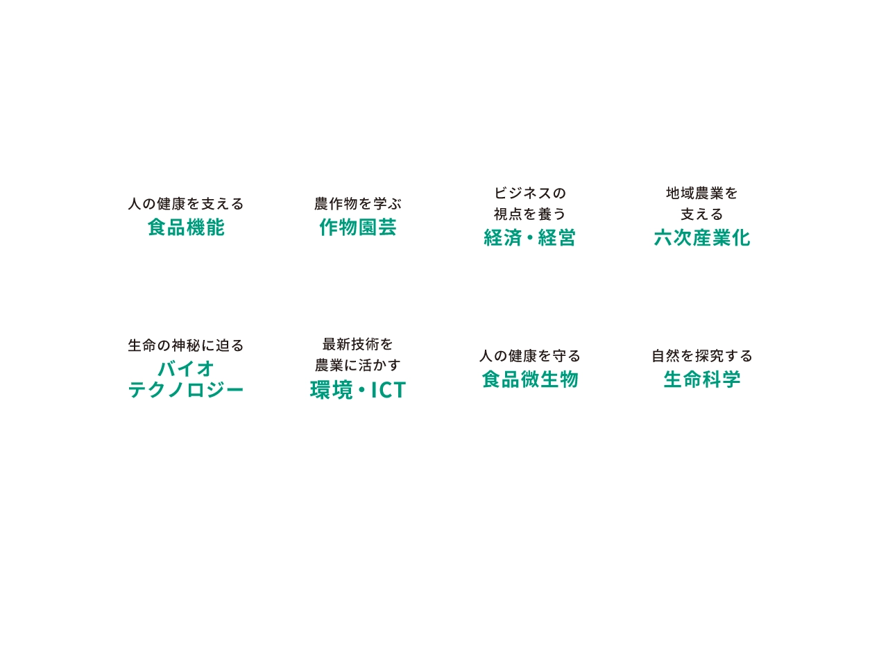 学びの特色図表