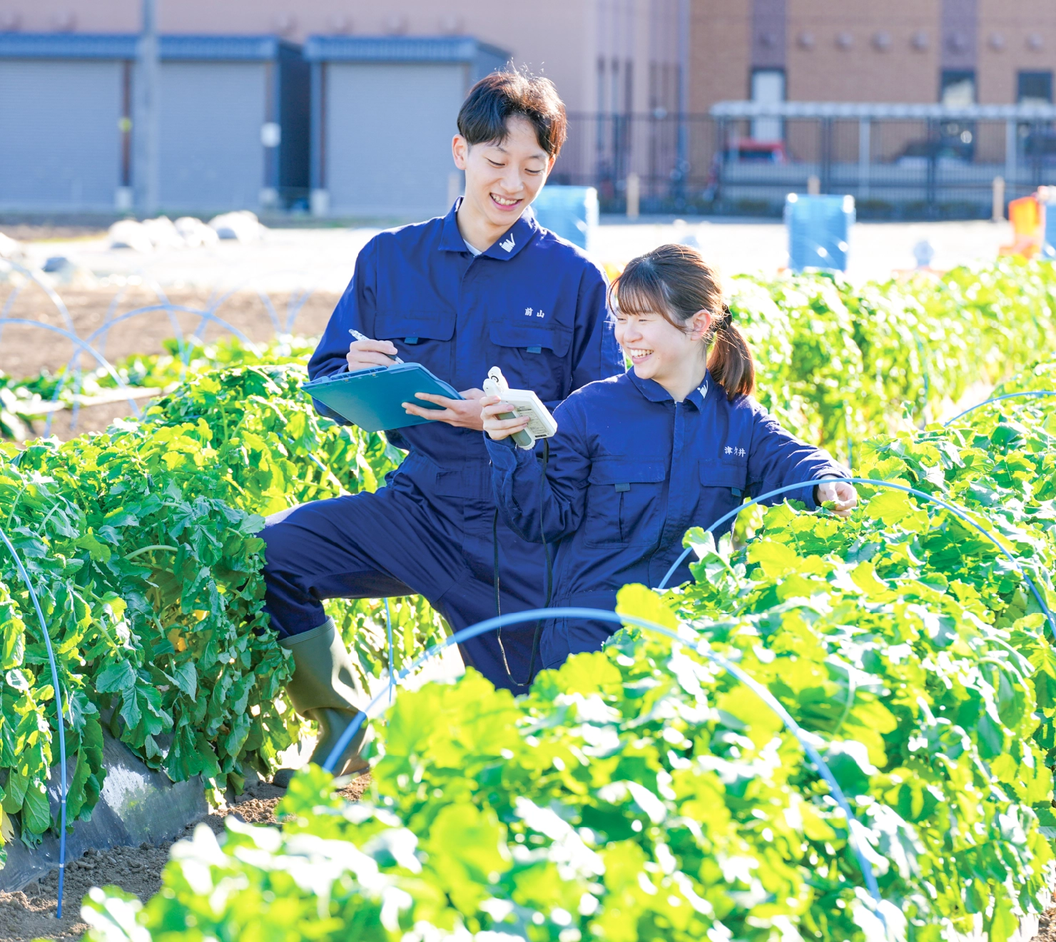 農学部 生物生産学科イメージ