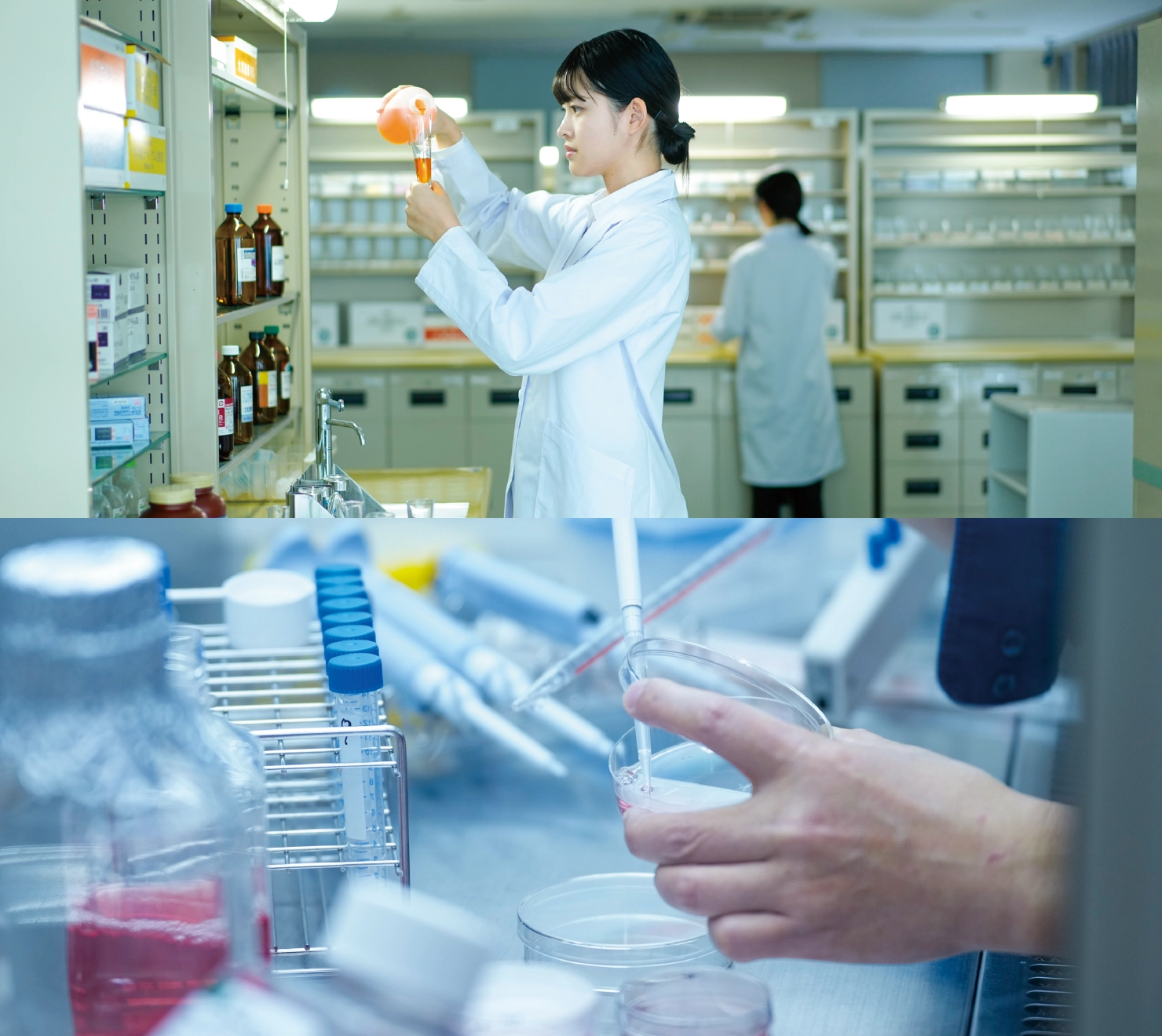 薬学部イメージ