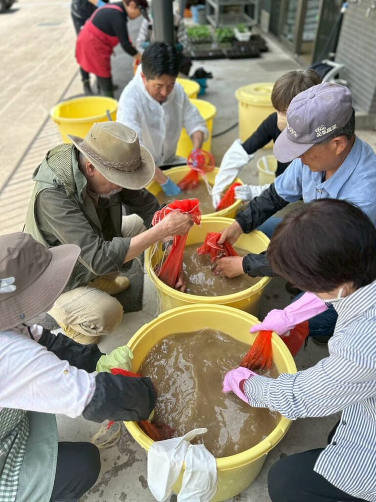 記事の画像