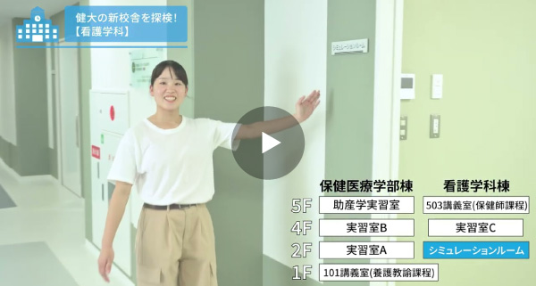 動画