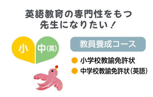 教員養成コース（小・中（英））